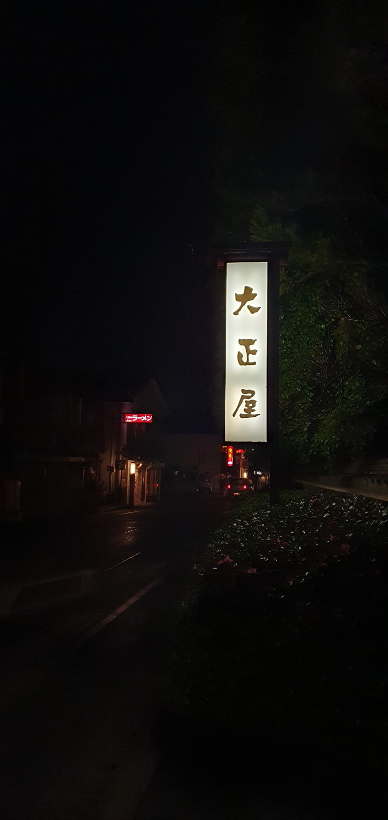 21_PicT